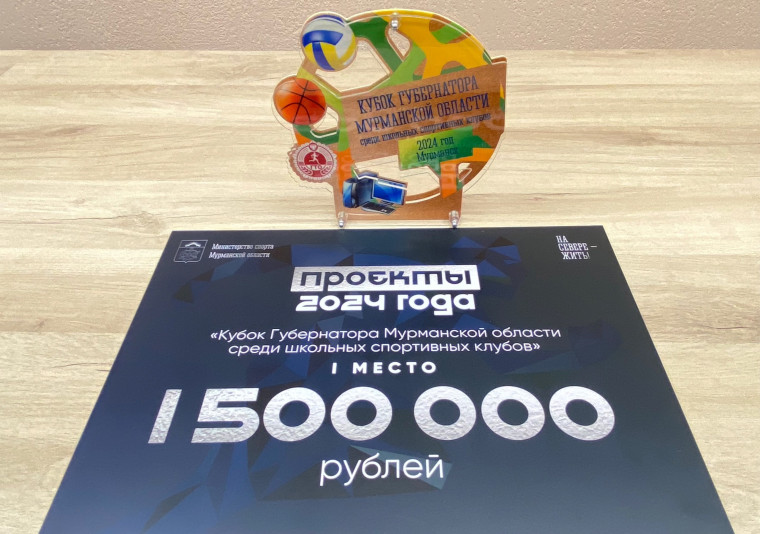Киберпобедители.